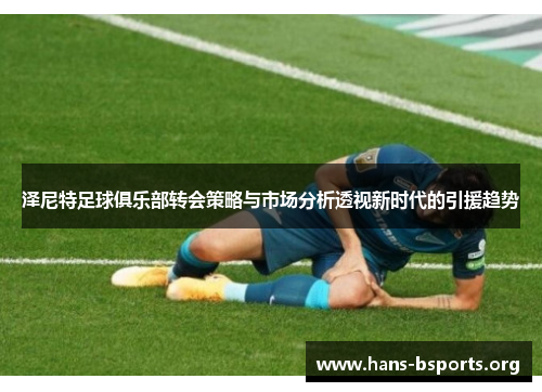 泽尼特足球俱乐部转会策略与市场分析透视新时代的引援趋势 泽尼特足球俱乐部转会策略与市场分析透视新时代的引援趋势