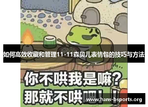 如何高效收藏和管理11-11森贝儿表情包的技巧与方法 如何高效收藏和管理11-11森贝儿表情包的技巧与方法